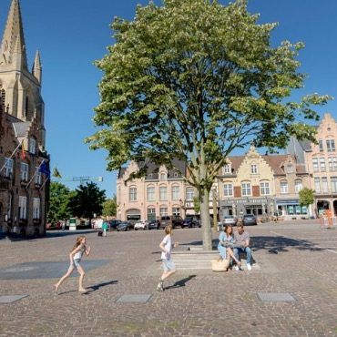 De grote zilveren lindeboom op het marktplein van Nieuwpoort met stadshal, beiaardtoren en de historische trapgevels