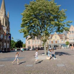 Het mooie marktplein van Nieuwpoort met centraal de zilveren lindeboom, de stadshal, beiaardtoren en de historische trapgevels